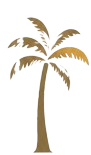 palm